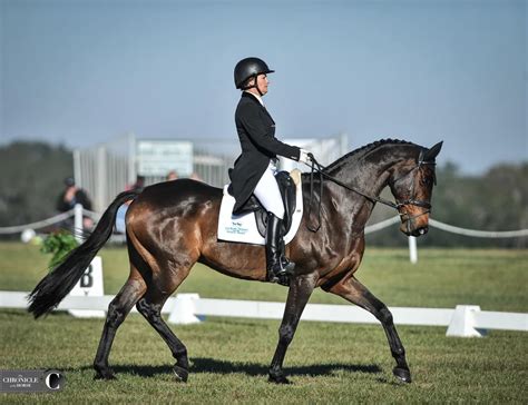 Fernhill By Night Eclipses The Field At Ocala Jockey Club International