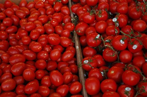 Tomatoes Crowded Free Photo On Pixabay Pixabay