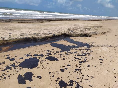 Marinha Confirma Chegada De Manchas De Leo Em Praias De Cama Ari