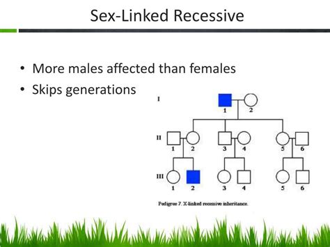 Ppt Pedigree Charts Powerpoint Presentation Free Download Id2148184