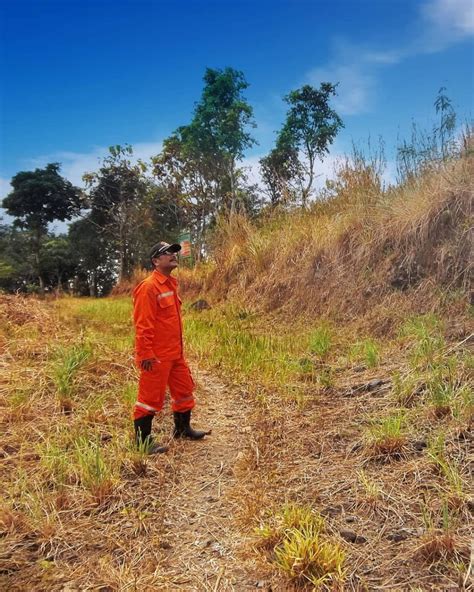 Kemarau Waspada Potensi Kebakaran Hutan Dan Lahan