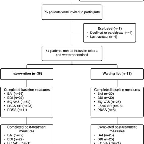 Patient Flow Bai Beck Anxiety Inventory Bdi Ii Beck Depression