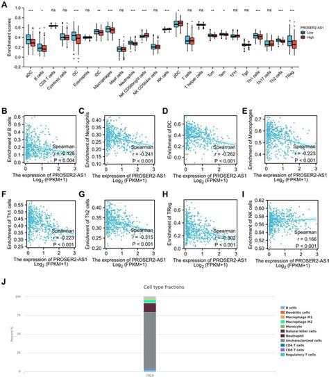 Correlation Of PROSER2 AS1 Expression With Immune Cell Infiltration In