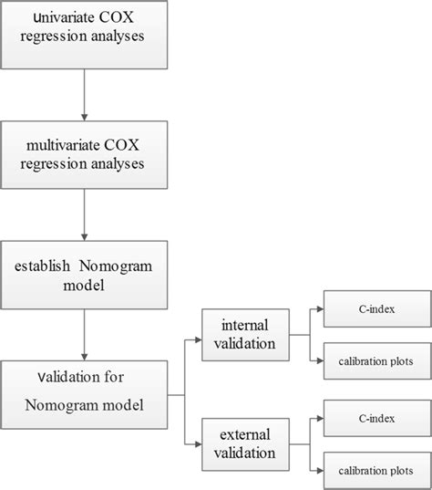 Flowchart Displaying The Process Of Building The Nomogram Download Scientific Diagram