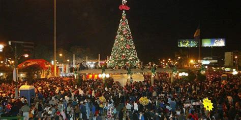 Detalles Festival Rbol Gallo Noviembre