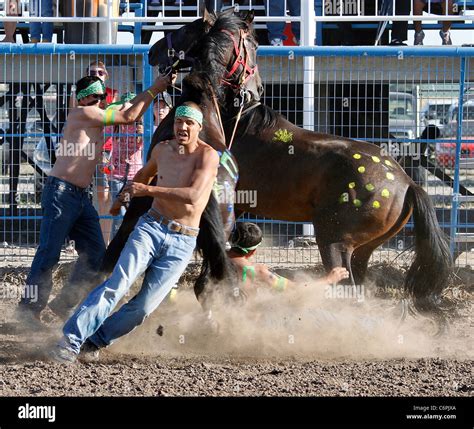 Shoshone Bannock Native American Indian Banque D Image Et Photos Alamy