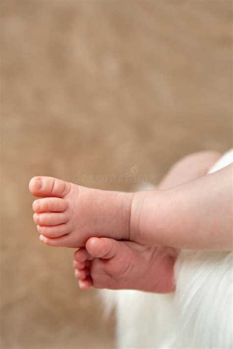 Newborn Baby Legs Closeup Picture With Space For Text Stock Image