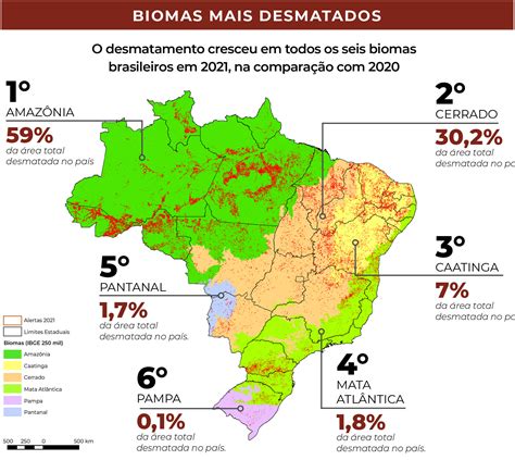 Caatinga Foi Terceiro Bioma Mais Afetado Pelo Desmatamento Em 2021