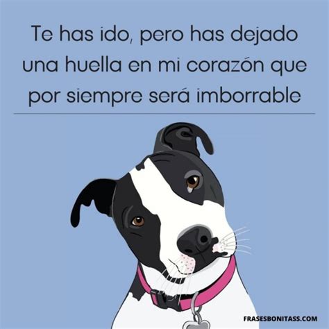 Total 52 Imagen Frases Para Dedicar A Mi Perro Fallecido Abzlocal Mx