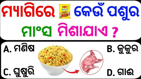 Odia Gk Odia Gk Question Odisha Gk In Odia