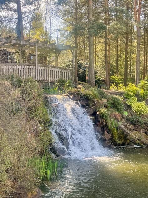 Center Parcs Whinfell Review Tips I Wish I Knew