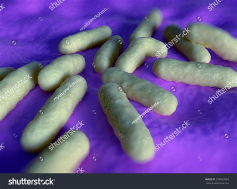 Salmonella Bacteria Can Cause Food Poisoning Stock Illustration ...