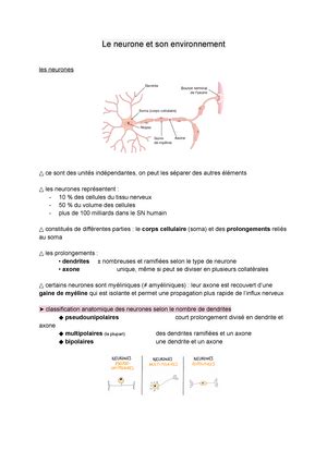 CM 1 Anat Anatomie ECUE 2 Anatomie Julien JACQUIER BRET Maitre De