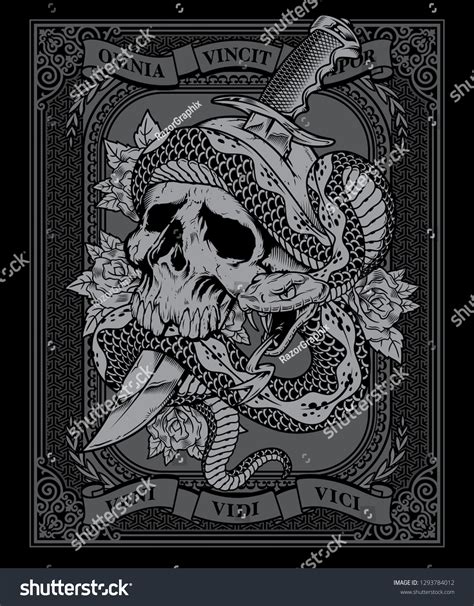 Viper Skull Images Stock Photos Vectors Shutterstock