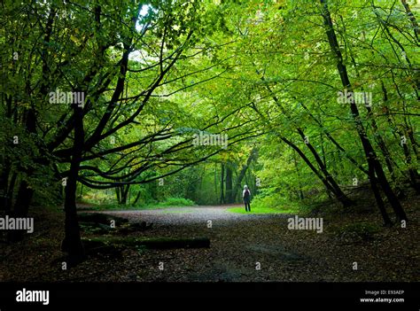 Burnham Buckinghamshire Hi Res Stock Photography And Images Alamy