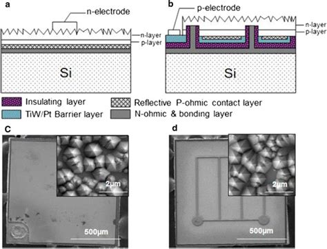 Schematic diagrams and scanning electron microscope images of devices ... 