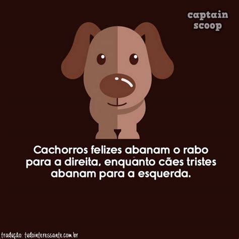 Coisas Curiosas Que Voc N O Sabia Sobre Os Animais