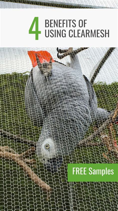 Clearmesh The Best Mesh For Aviaries