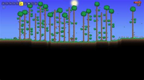 Top 15 Best Seeds in Terraria