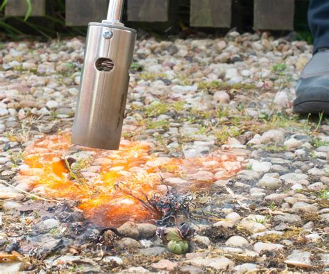 How To Remove Weeds From Gravel Tips To Get Rid Of Them Homes And Gardens