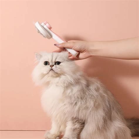 Brosse De Toilettage En Acier Inoxydable Pour Animaux De Compagnie