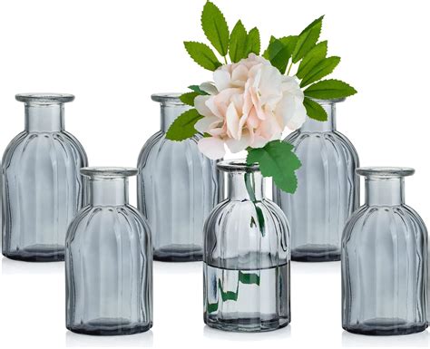 Amazon de Glasseam Kleine Vasen Set Glasvase 6 Stück Mini Blumenvase