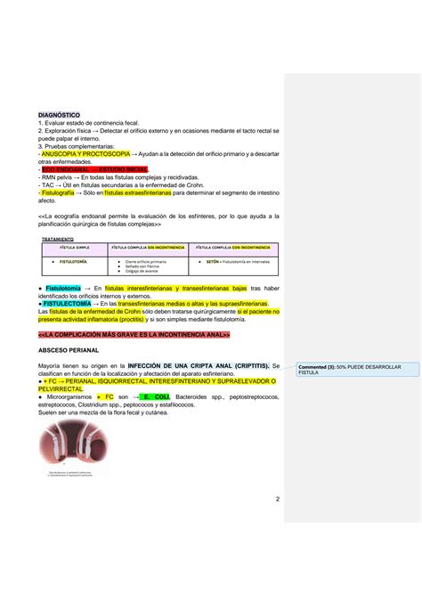 Solution Resumen Enarm Enfermedad Perianal Studypool