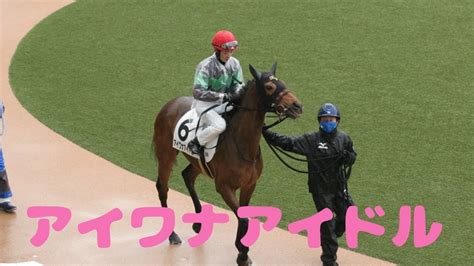 【現地撮影】2023年4月15日中山競馬5rアイワナアイドルパドックの様子 競馬動画まとめ