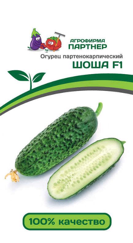 Семена огурцов фирмы Партнер купить в Беларуси - Семена Партнер в ...