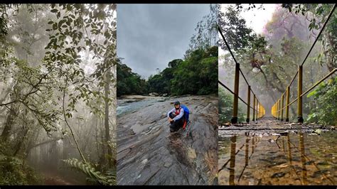 STORIES Conhecendo O Parque Das Neblinas Trilha Leve Em Mogi Das