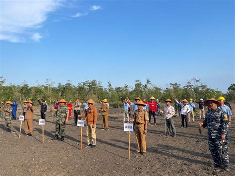 Penanaman Mangrove Serentak Oleh TNI Se Indonesia Adalah Kolaborasi