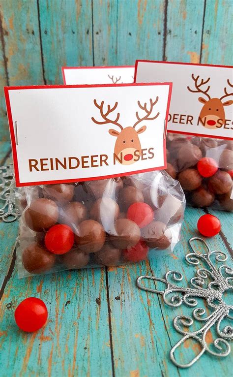 Diy Reindeer Noses Treat Bags With Free Printable Labels