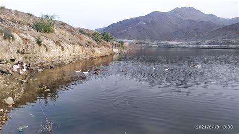 Kalba Dam Wadi Al Ghalil Dam Easy Location Youtube