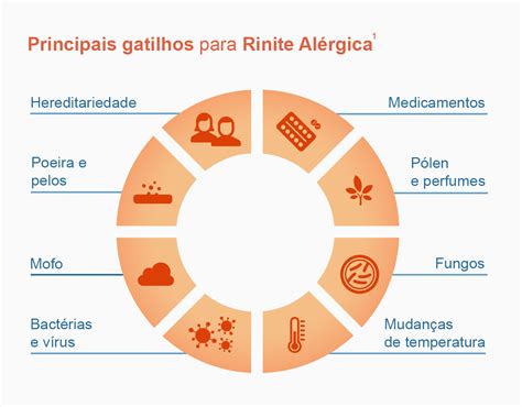 Rinite o que é sintomas causas e tratamento Raquel Luiza