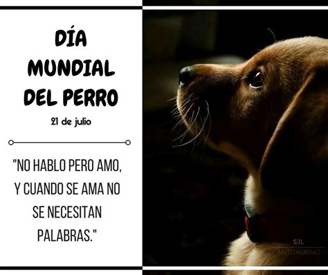 Lista Foto Imagenes Del Dia Mundial Del Perro Cena Hermosa