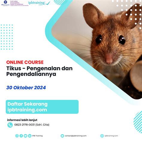 IPB Training Online Course Tikus Pengenalan Dan Pengendaliannya