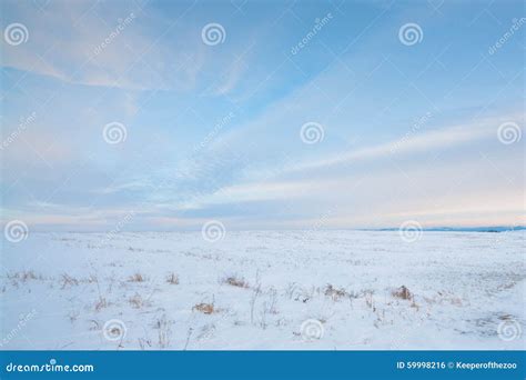 Snowy Prairie stock photo. Image of field, prairie, country - 59998216