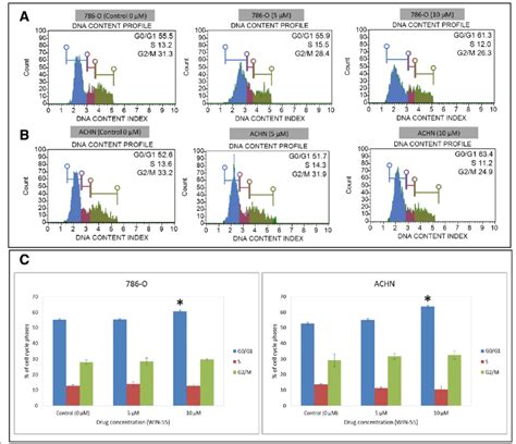 Cell Cycle Analysis Of Rcc Cells 786 O A And Achn B Cells Were