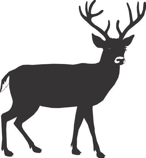 Buck Silhouette Outline