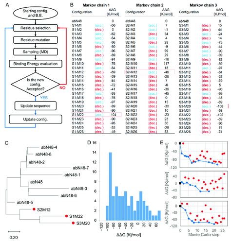 In Silico Affinity Maturation Predictions A Schematic Representation