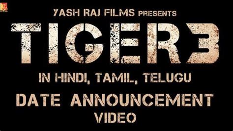 Salman Khan Announced Tiger 3 Release Date All Set To Hit Theatres On