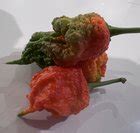 Fruit Porn R PepperLovers