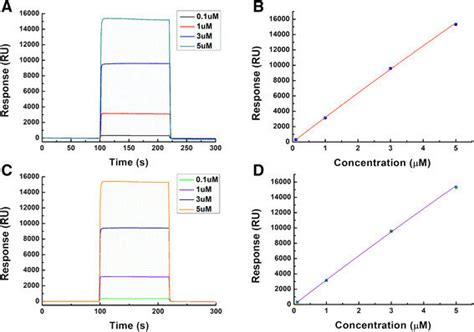 Spr For The Measurement Of The Binding Strength Between Pmrd And Pmra