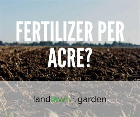 How Much Fertilizer Per Acre Of Food Plot For Dummies