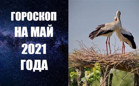 ГОРОСКОП НА МАЙ 2021 ГОДА от астролога Анны Фалилеевой. Астропрогноз на ...