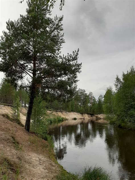 На севере диком...