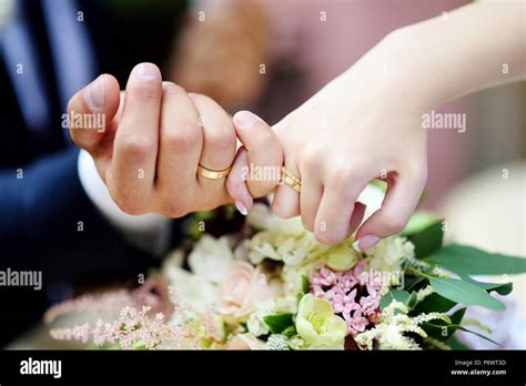 Bride And Groom Holding Their Hands With Wedding Rings On Fingers Stock