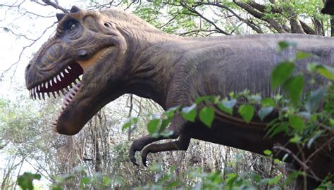 Maior Parque De Dinossauros Da Am Rica Latina Entrada Gratuita