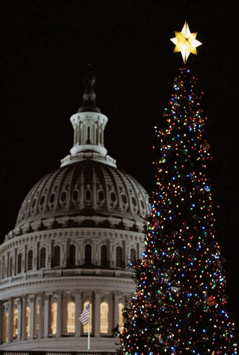 Capitol Christmas Tree - All Photos - UPI.com