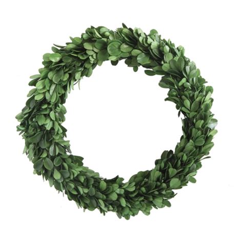 Preserved Boxwood Wreath, 9.75" - The Good Tree